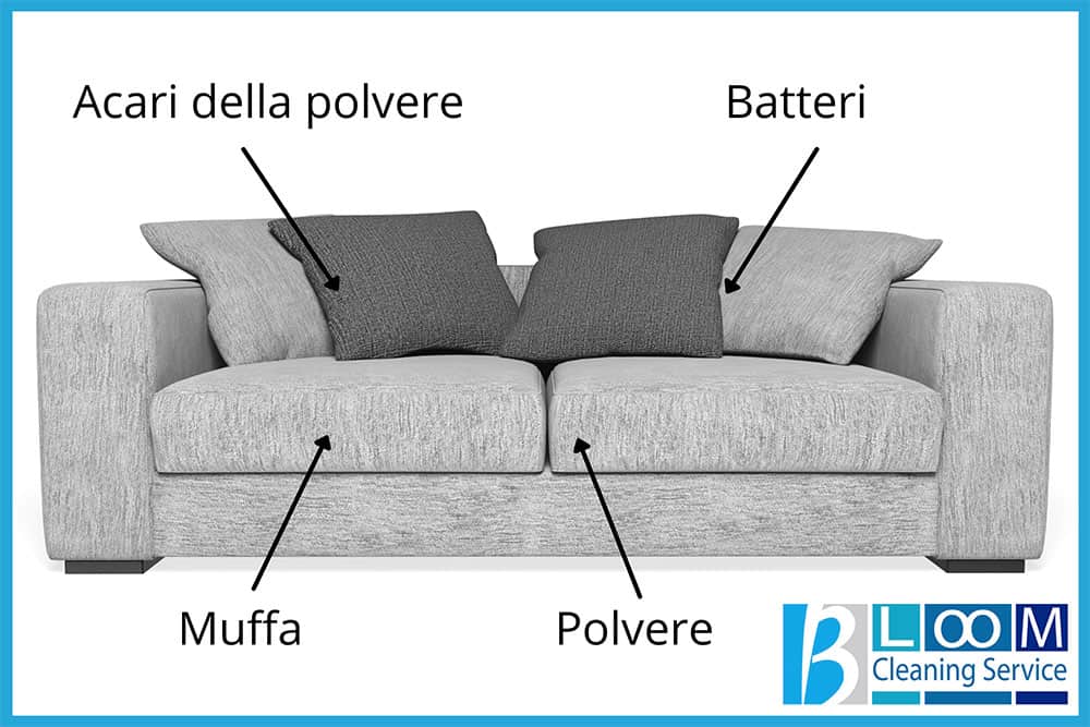 Sporco sui divani, perché bisogna lavarlo